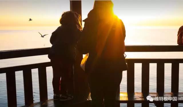 1569312986432656.jpg 3.jpg