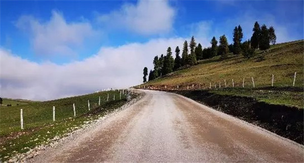 1572831580566850.jpg 640 (24).jpg