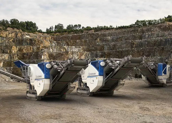 1576821008339555.jpg 640.webp.jpg